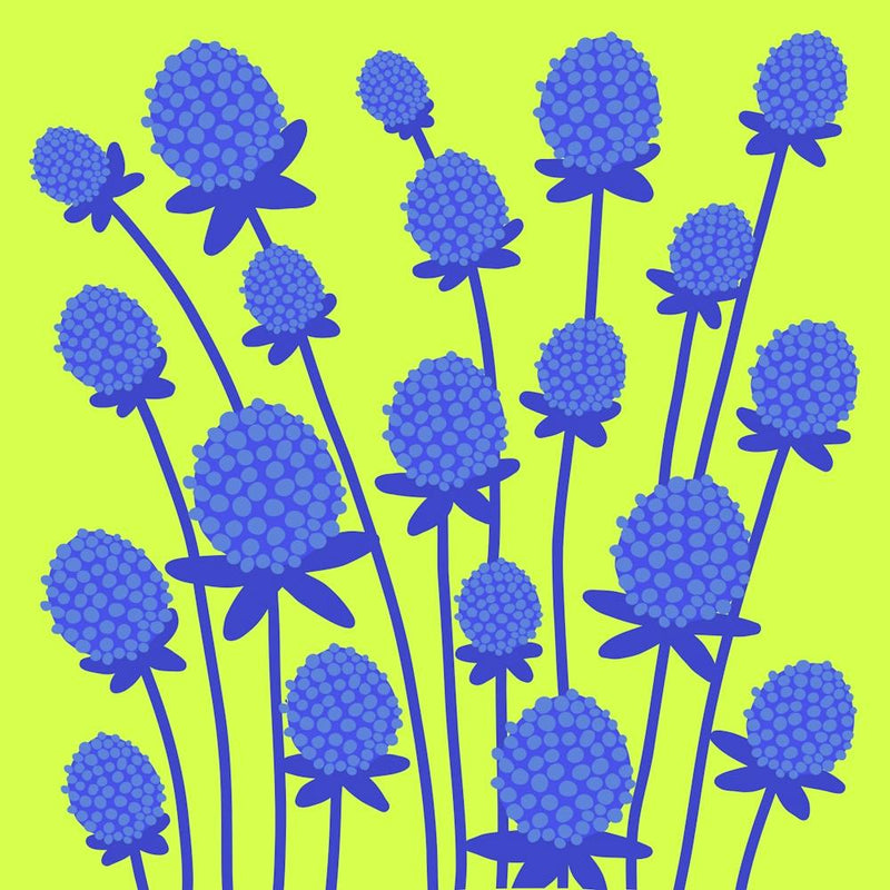 Sea Holly