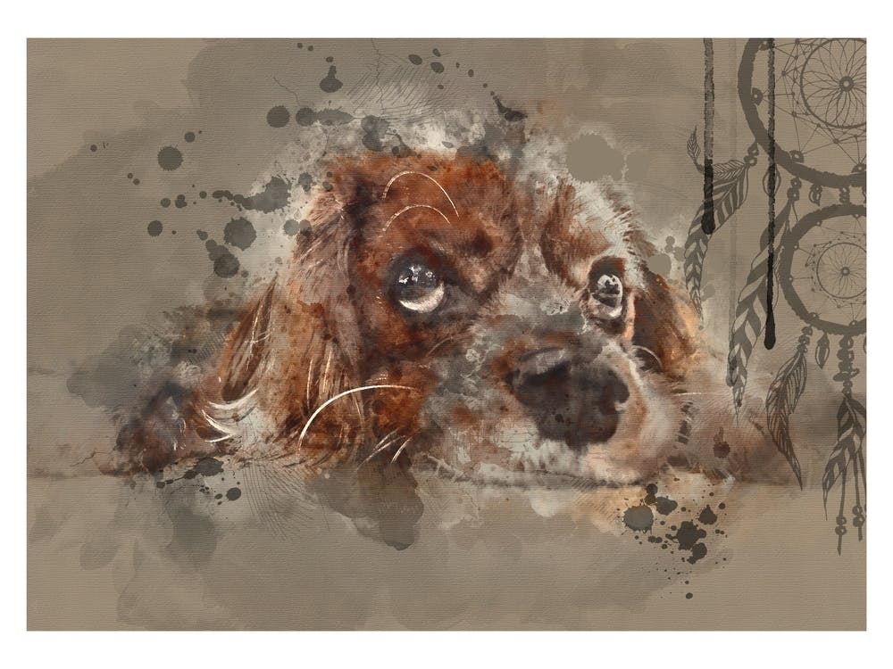Cocker Spaniel Watercolor 1