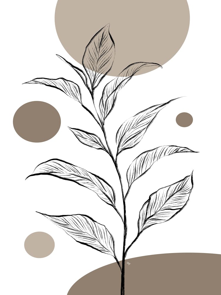Fragile Plant Two