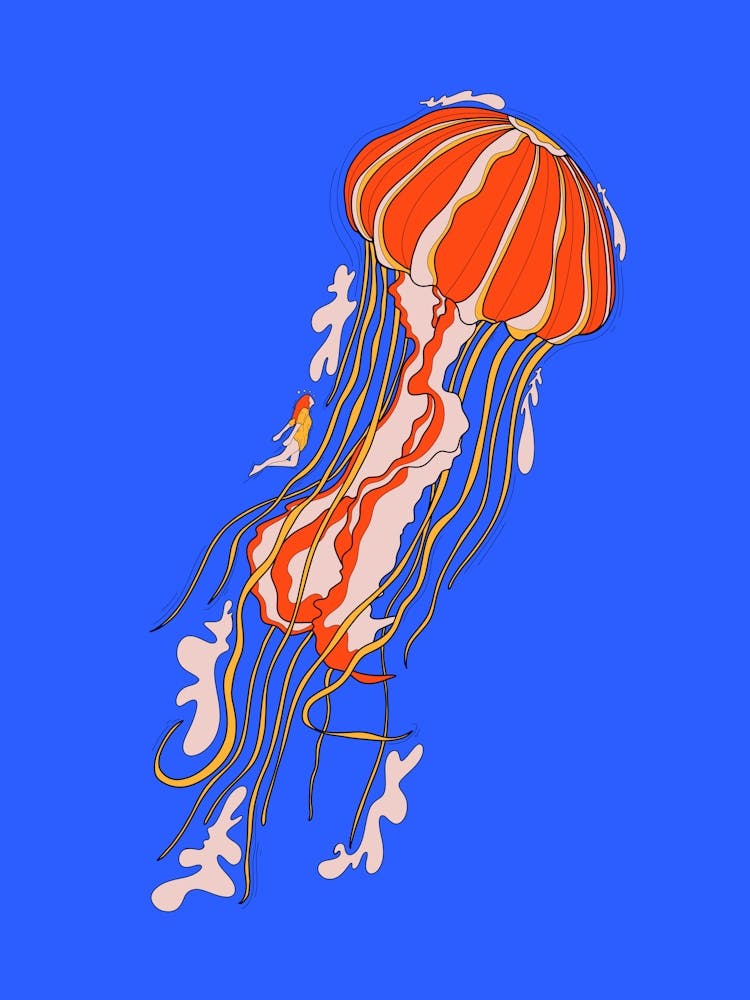 The Giant Jellyfish