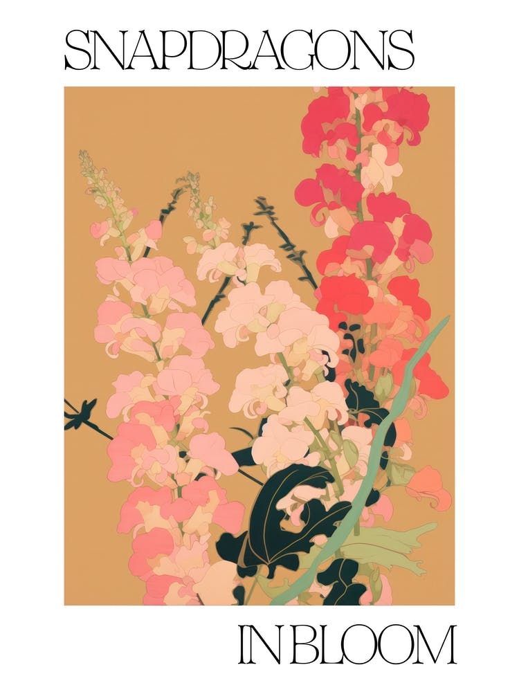 Snapdragons In Bloom Flowers Bold Illustration 2