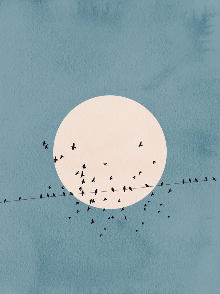 Birds On A Wire