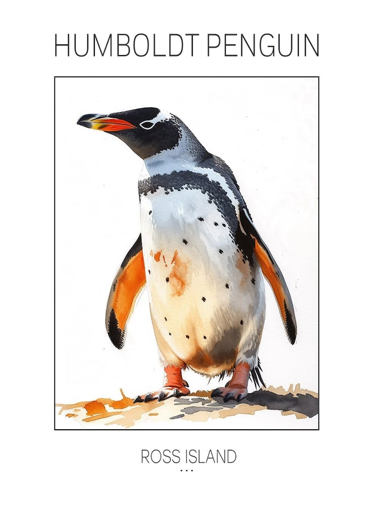 Humboldt Penguin Ross Island Watercolour Painting 1 Poster