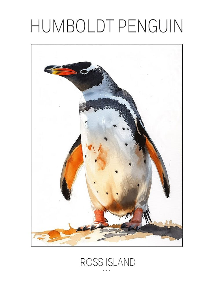 Humboldt Penguin Ross Island Watercolour Painting 1 Poster