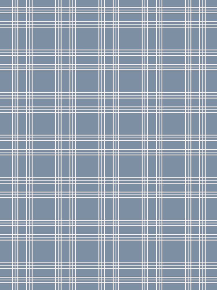 Staubblaues Gingham