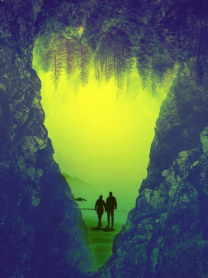 Toxic Forestry Together