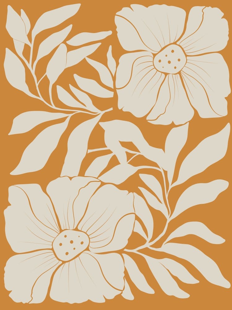 Orange And White Flowers