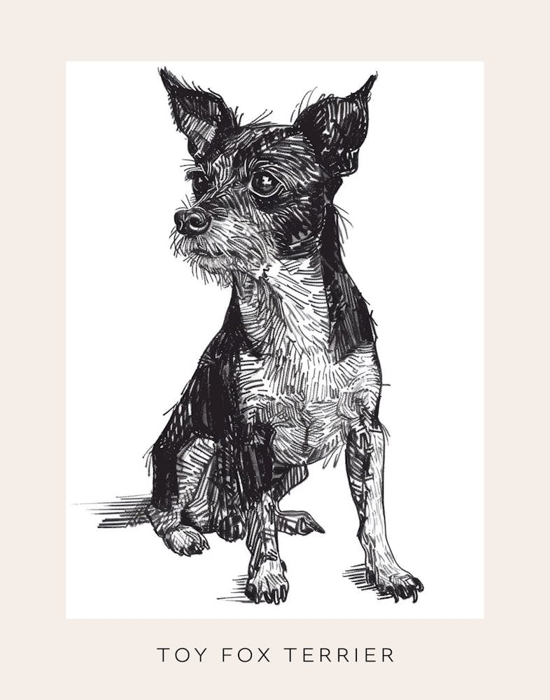 Toy Fox Terrier Dog Linienskizze 4 Poster
