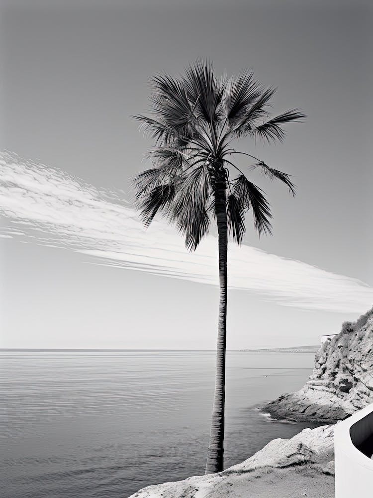 Algarve, Portugal, Photography In Black And White 3