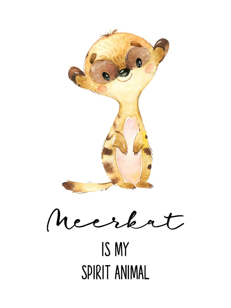 Le Suricate Est Mon Animal Totem