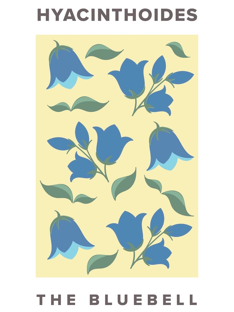 The Bluebell