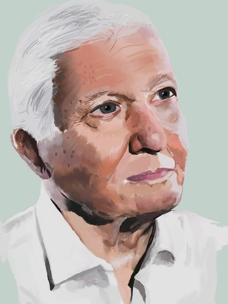 David Attenborough