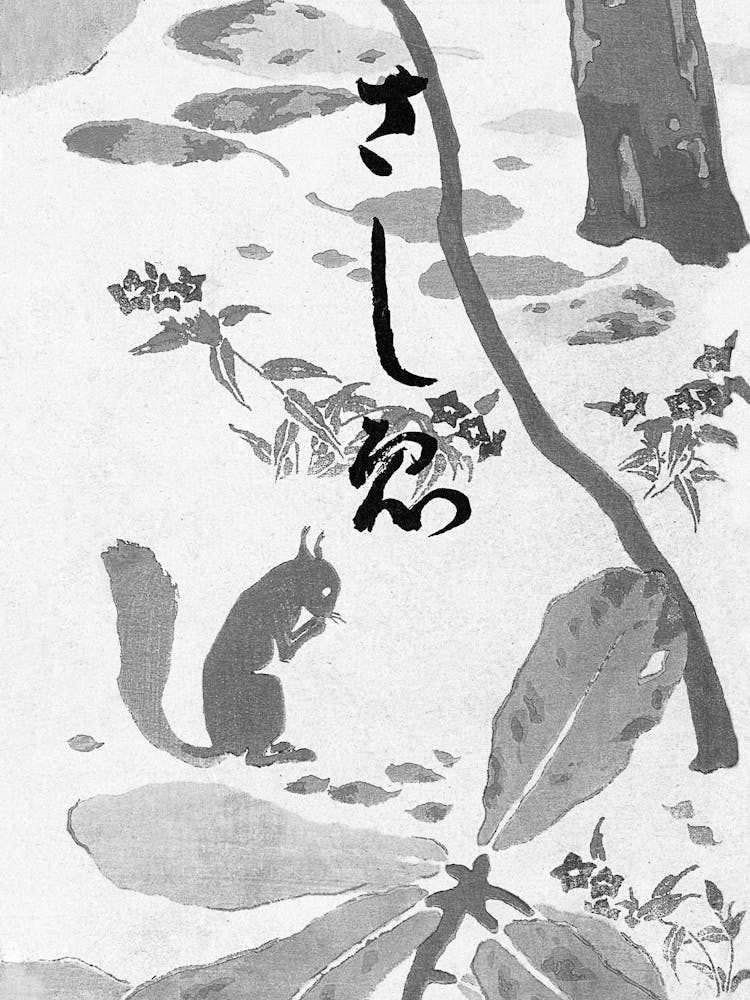 Squirrel In The Forest