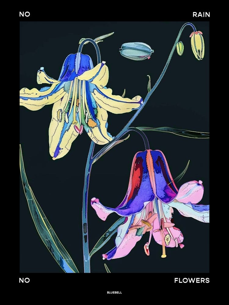 No Rain No Flowers Affiche Bluebell 3