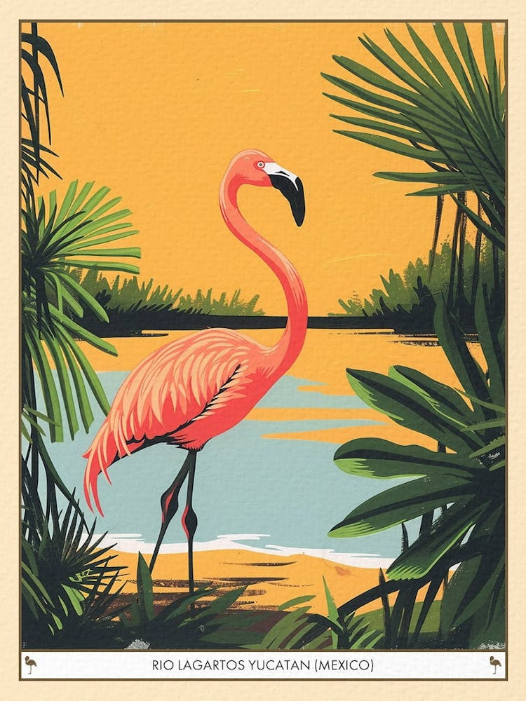 Greater Flamingo Rio Lagartos Yucatan Mexico Tropical Illustration 8 Poster
