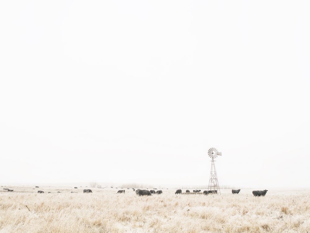 Midwest Cattle Ranch