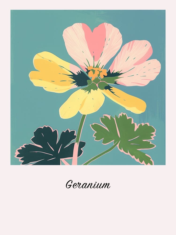 Geranium 2 Square Flower Illustration Poster