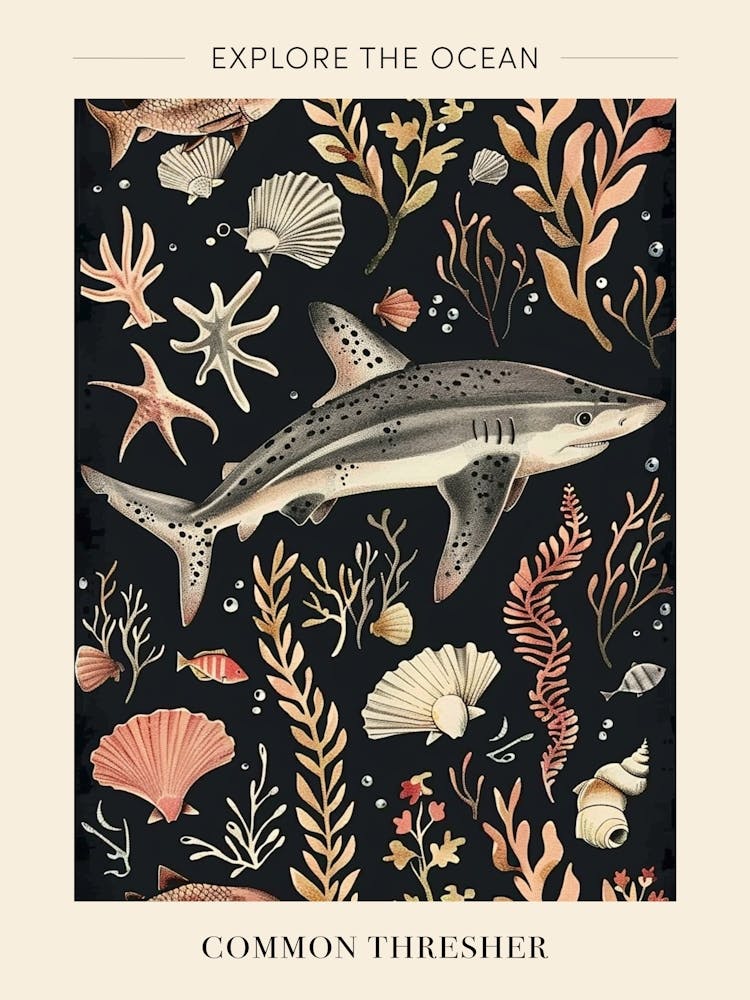 Requin-Renard Commun Paysage Marin Fond Noir Illustration 1 Poster