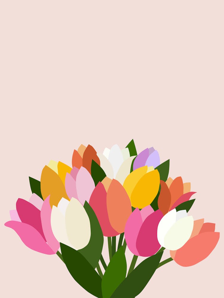 Fresh Tulips | 05