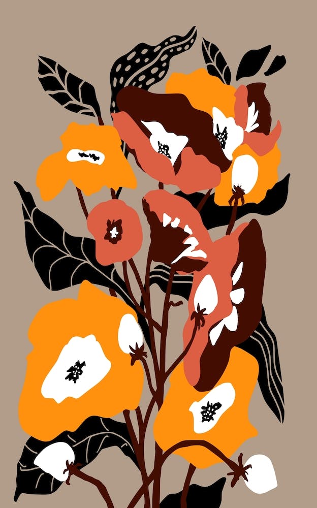 Flowers In My Garden In Sunshine