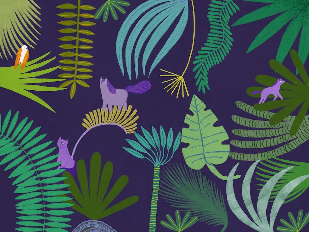 Plants Parade 3
