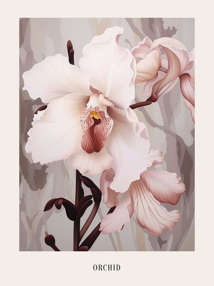 Floral Illustration Orchid 2 Poster