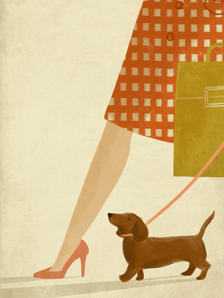 Dachshund Sausage Dog