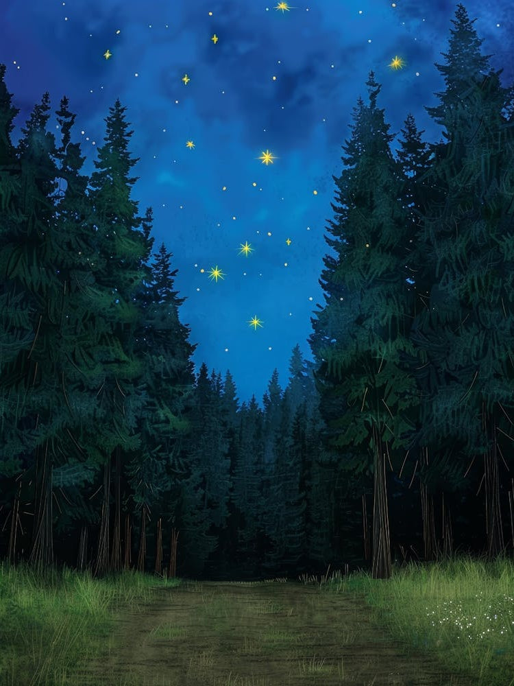 Night In The Forest 4