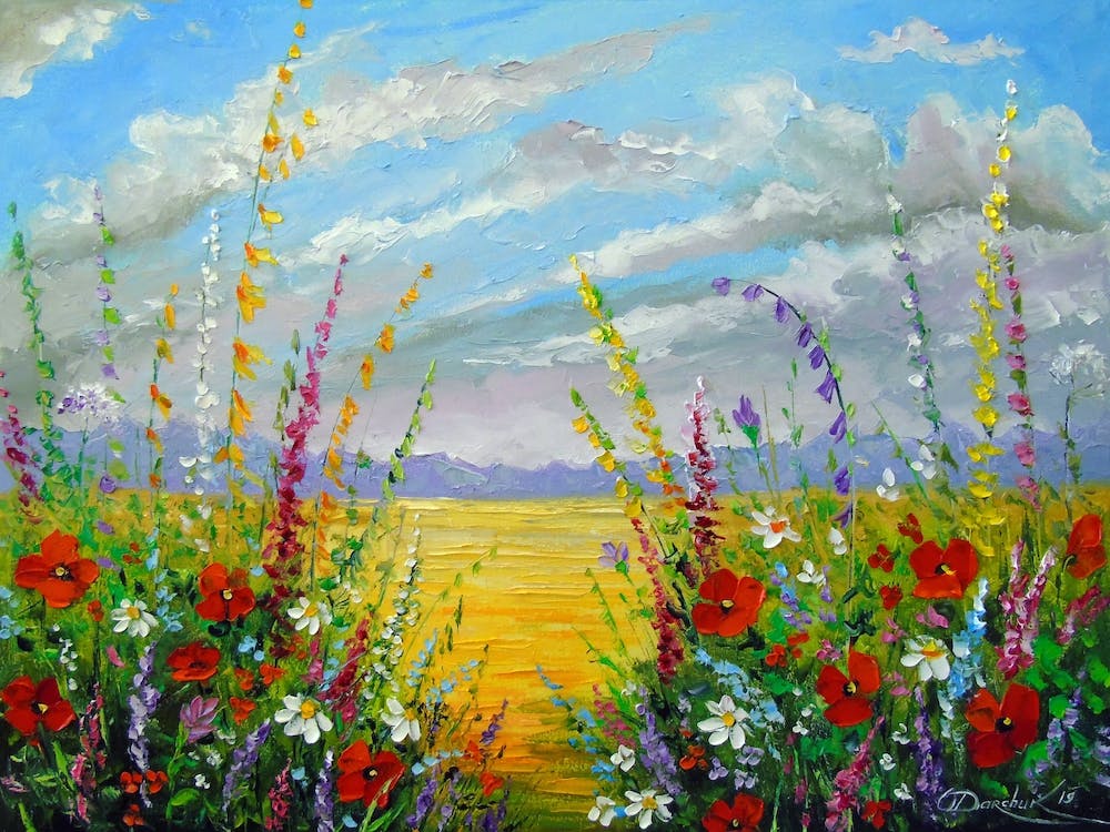 Field of flowers