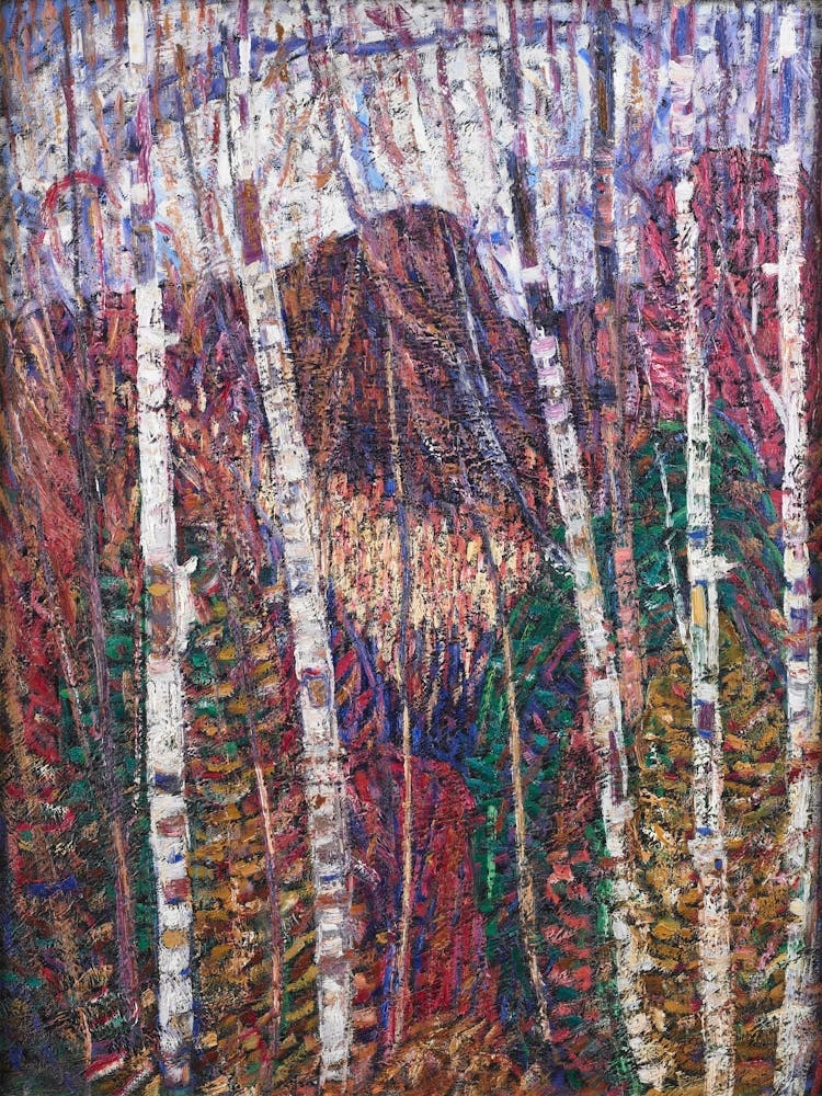 Birch Trees