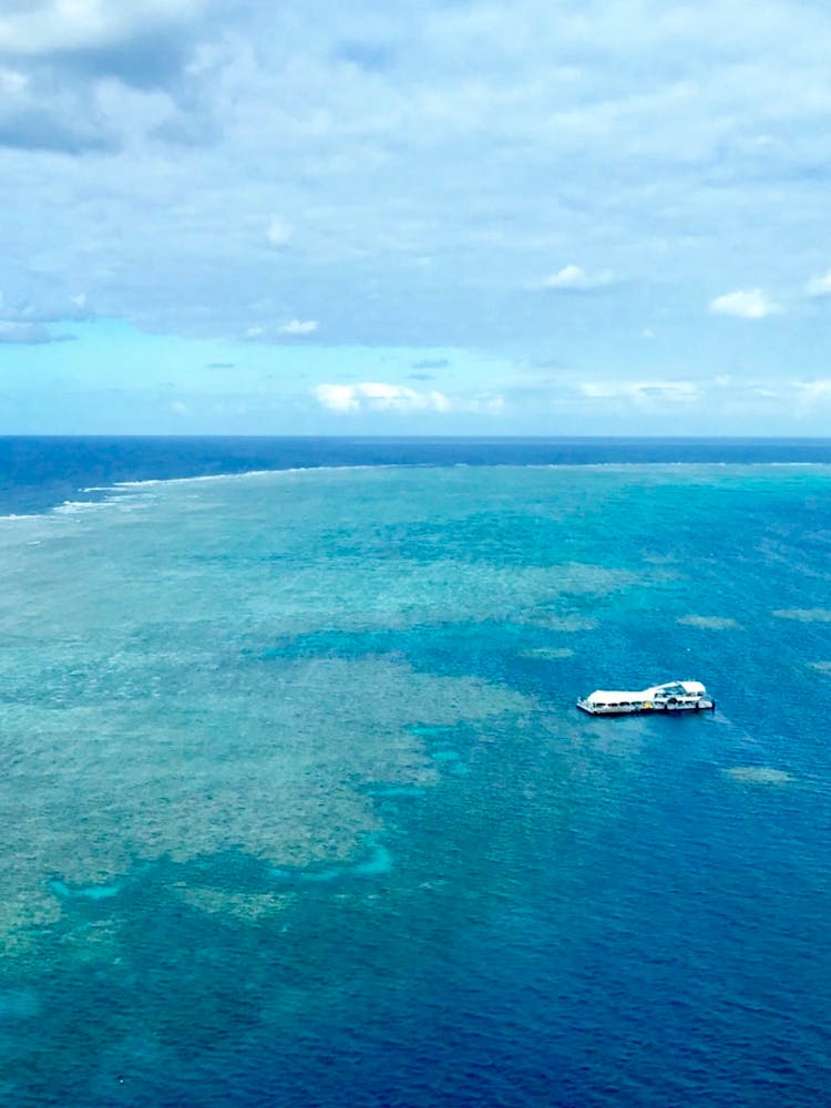 The Great Barrier Reef