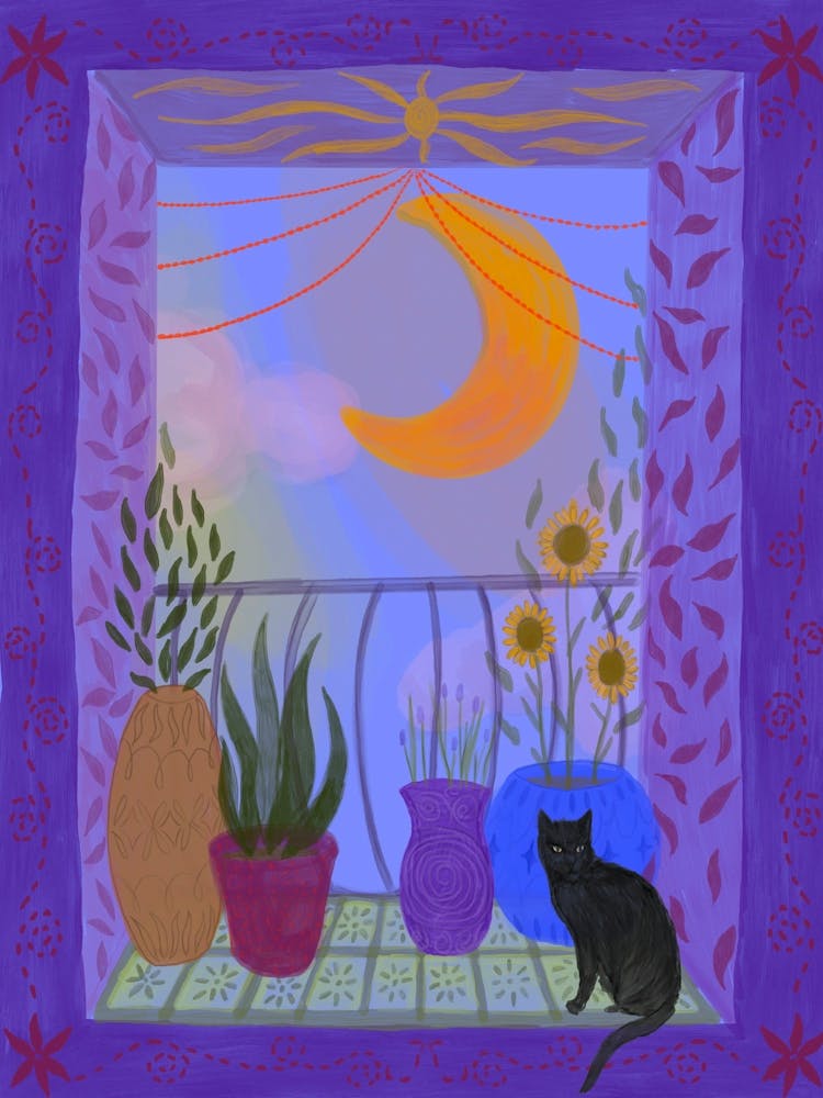 Balcony cat