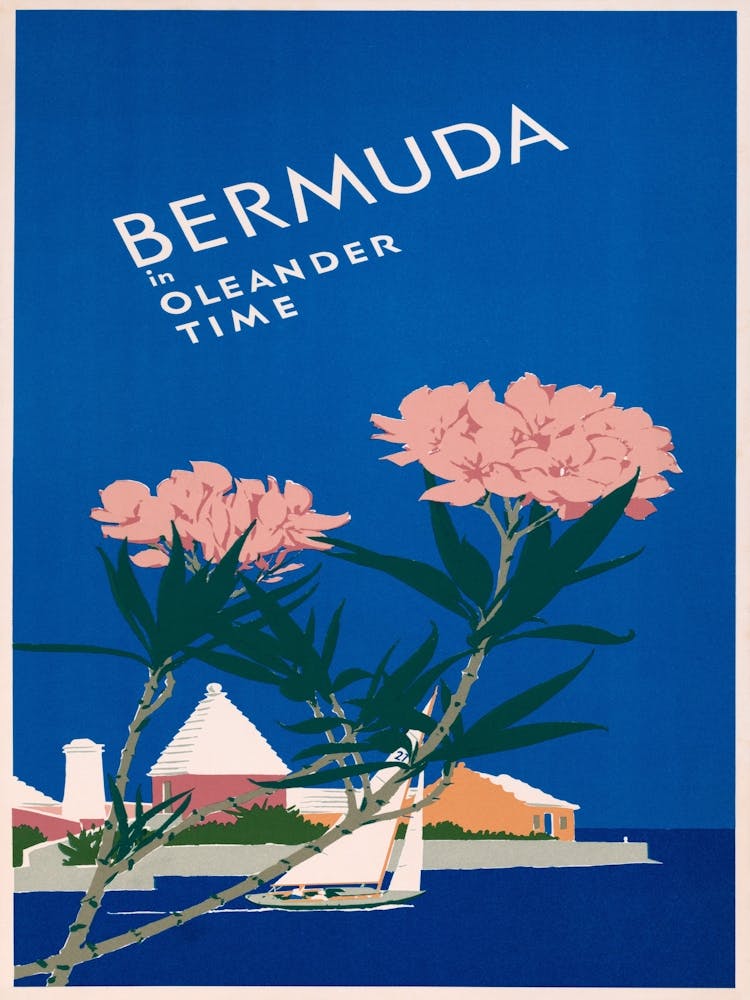 Bermuda Cleaner Time
