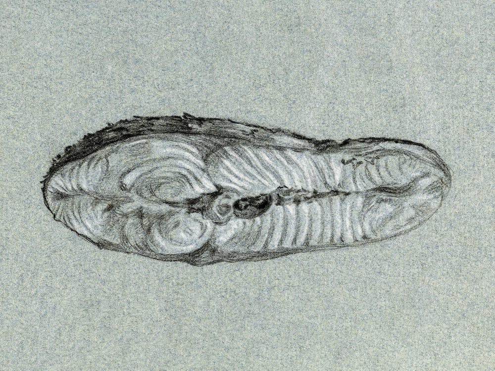 Moot Cooked Salmon, Jean Bernard