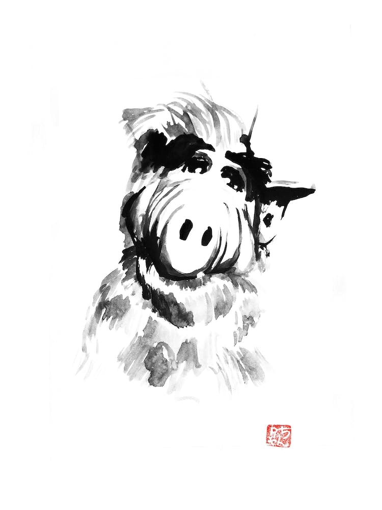 Alf