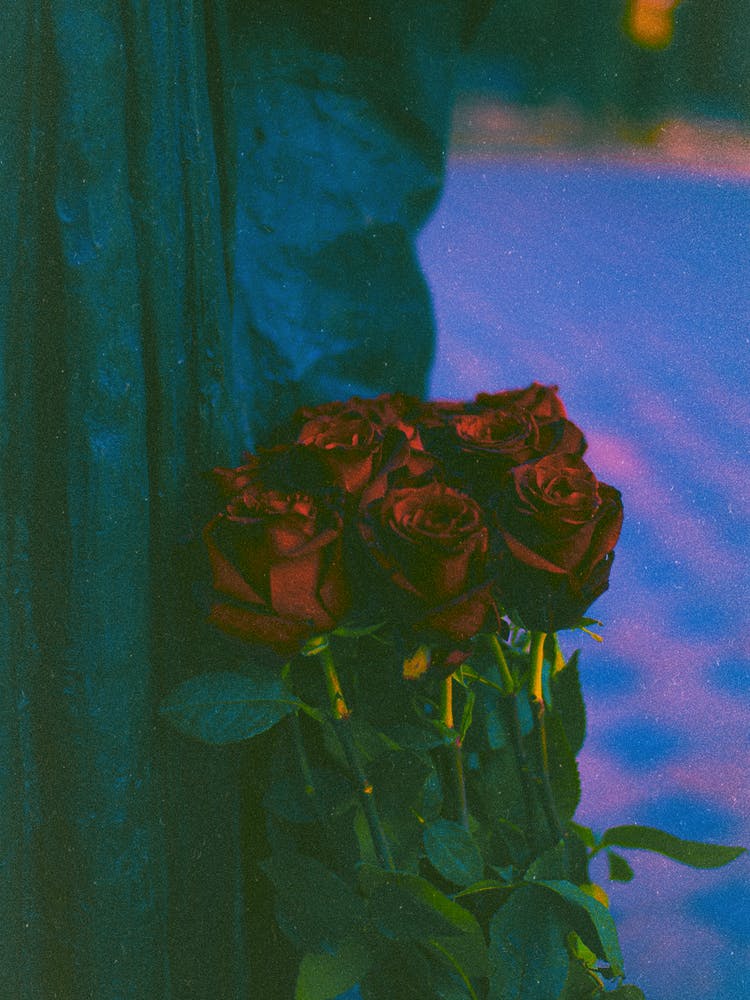 Roses are blue