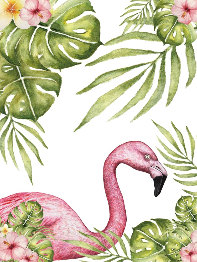 Pink Flamingo 5