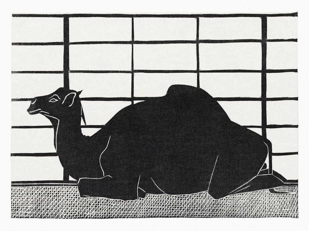 Dromedary (Dromedaris) (1912), Samuel Jessurun