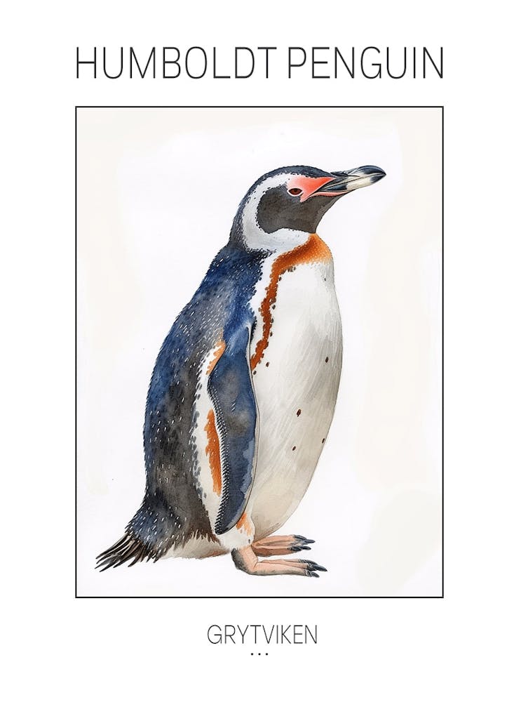 Humboldt Penguin Grytviken Watercolour Painting 1 Poster