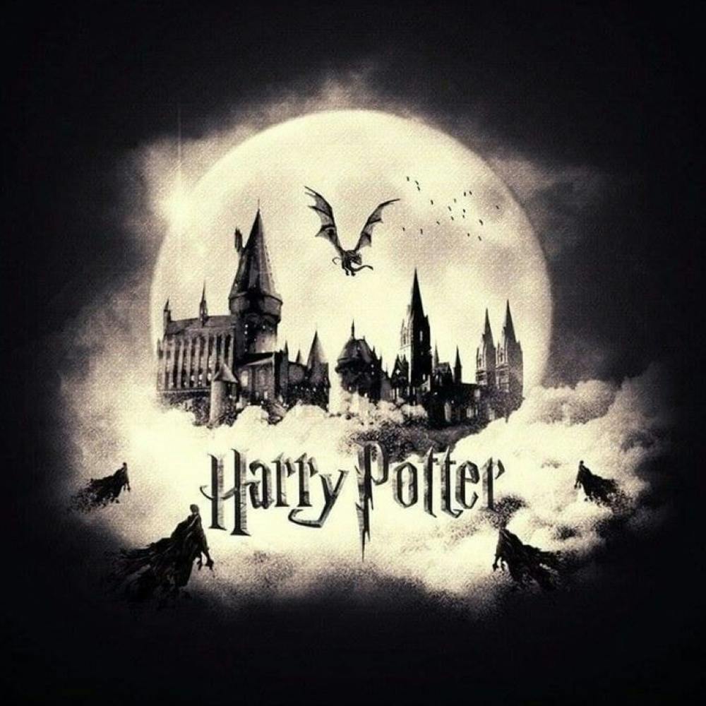 Harry Potter 2