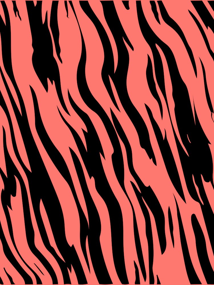Zebra Stripes 10