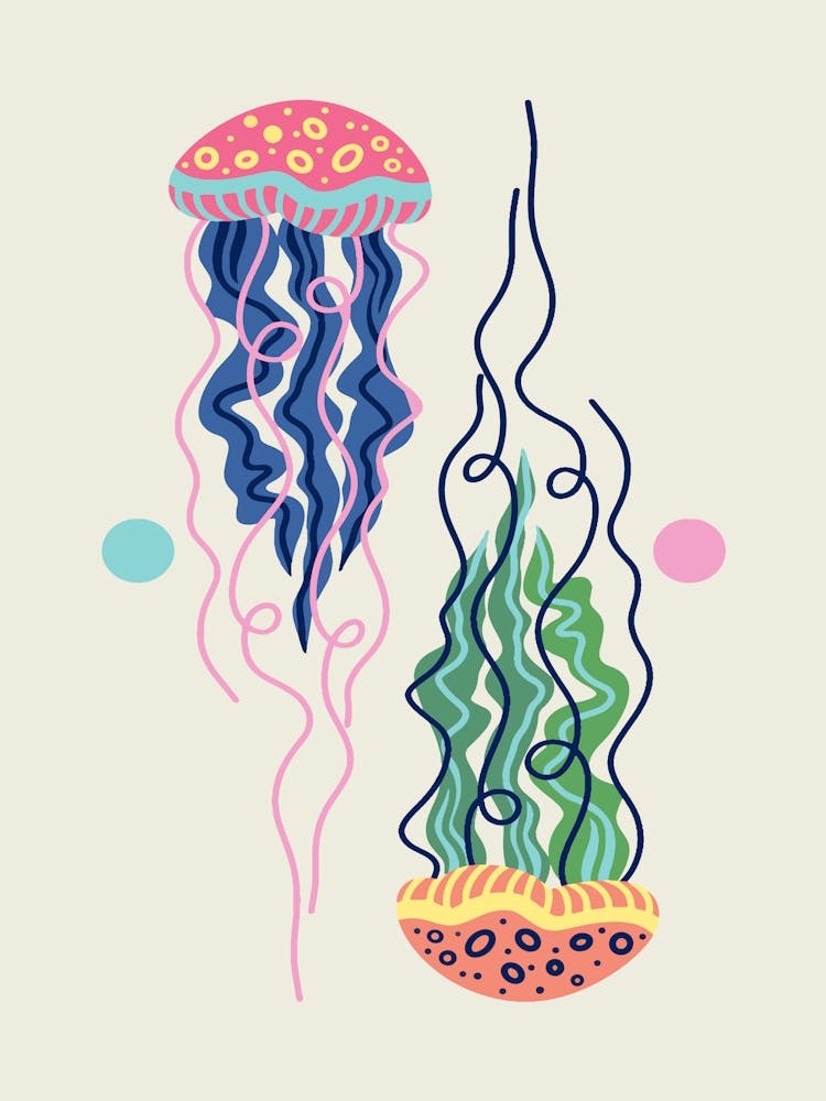 Jellyfish Modern