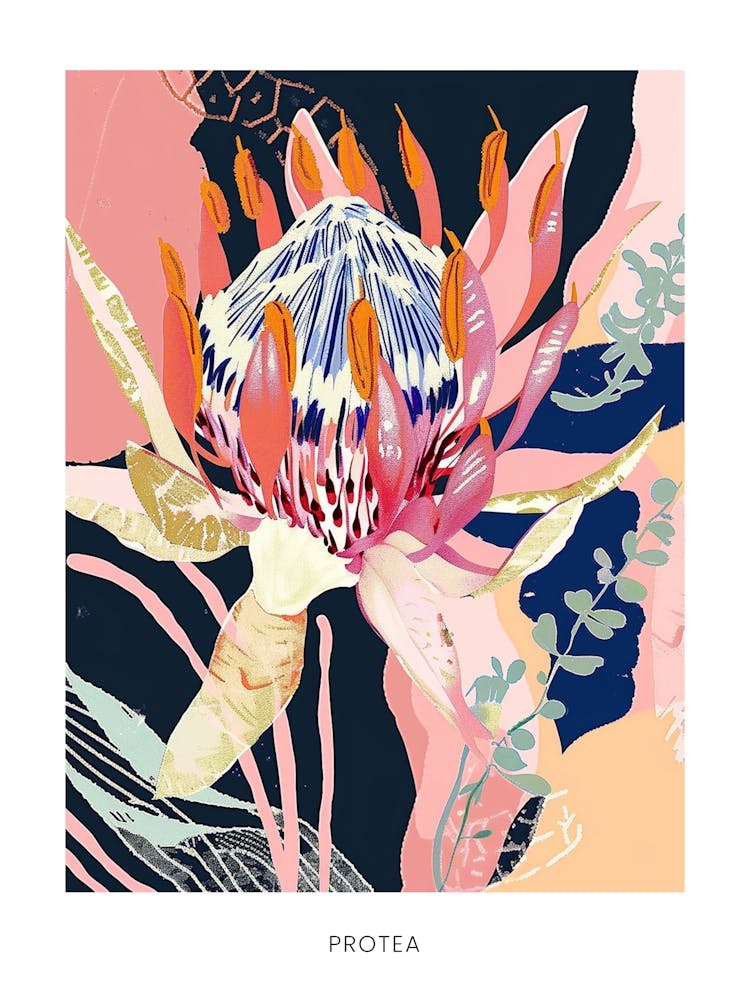 Colourful Flower Illustration Poster Protea 4
