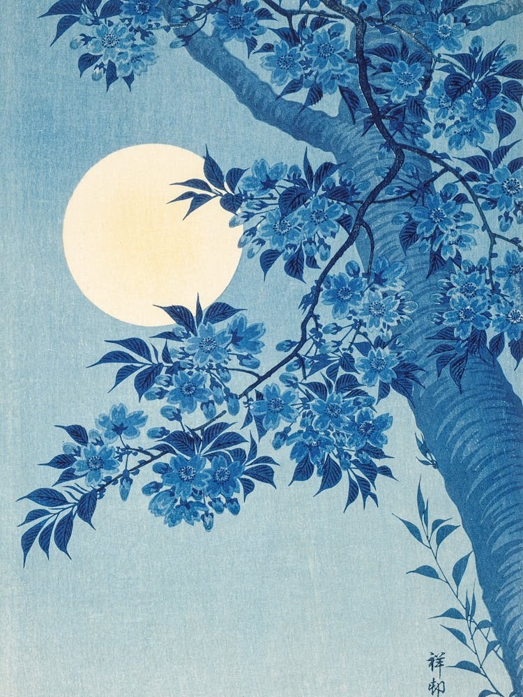 Blossoming Cherry on a Moonlight Night Moon And Blossoms