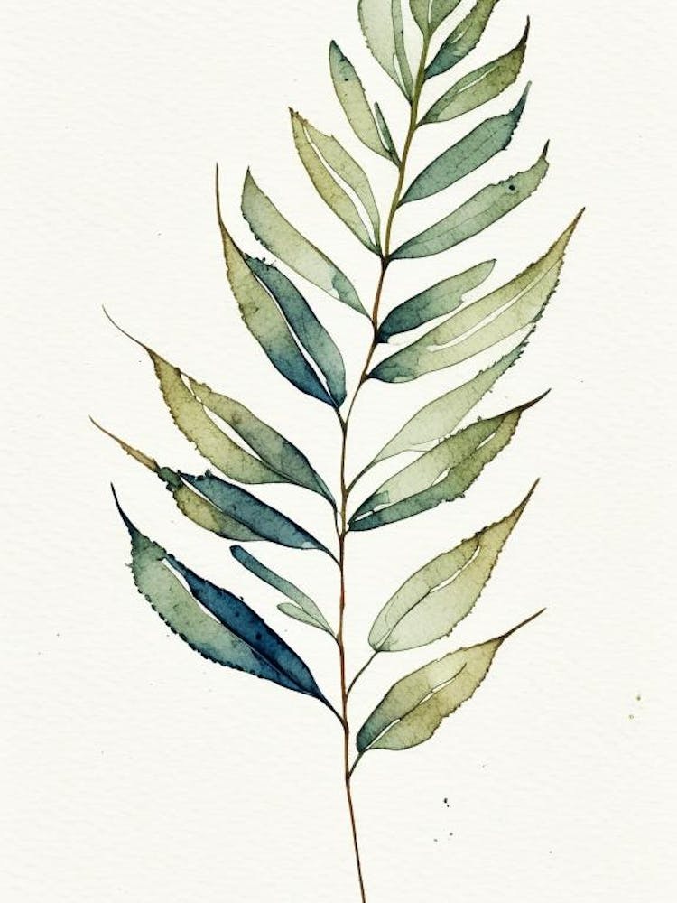 Valerian Leaf Minimalist Watercolour 2