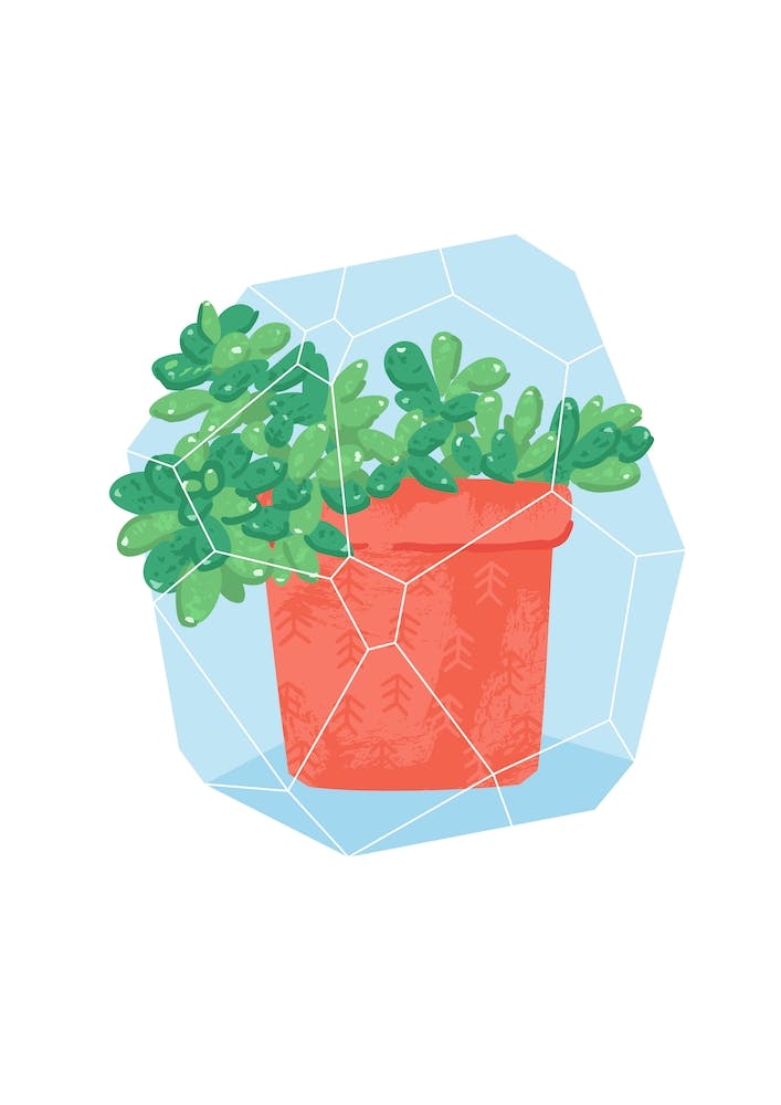 Potted Plant #4