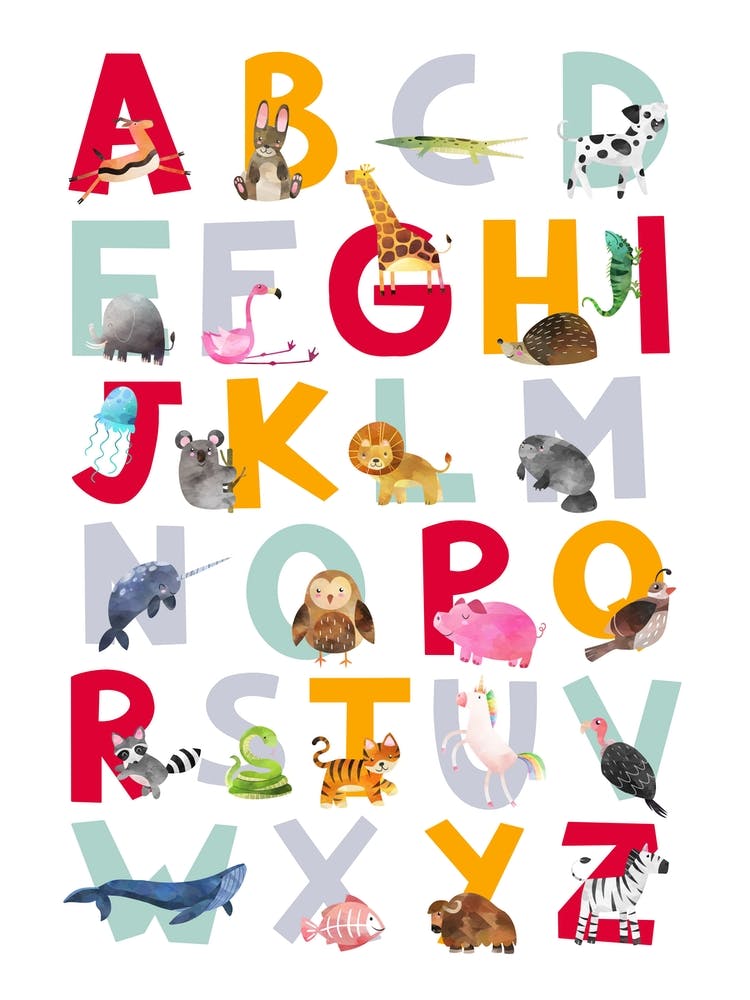 Animal Alphabet