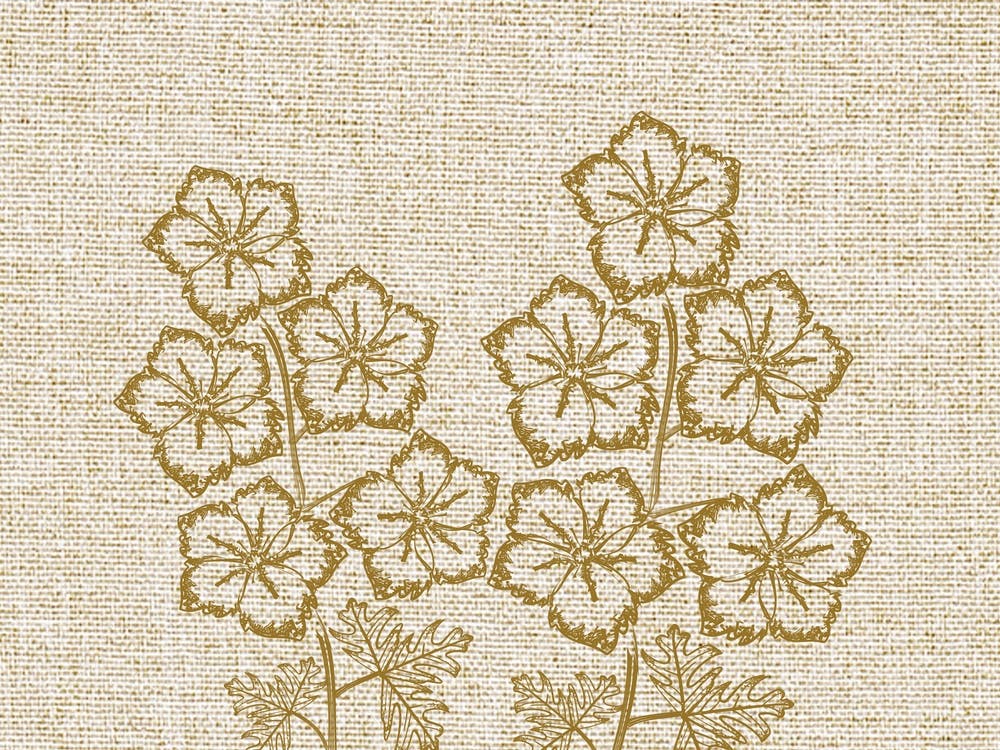Linen Larkspur