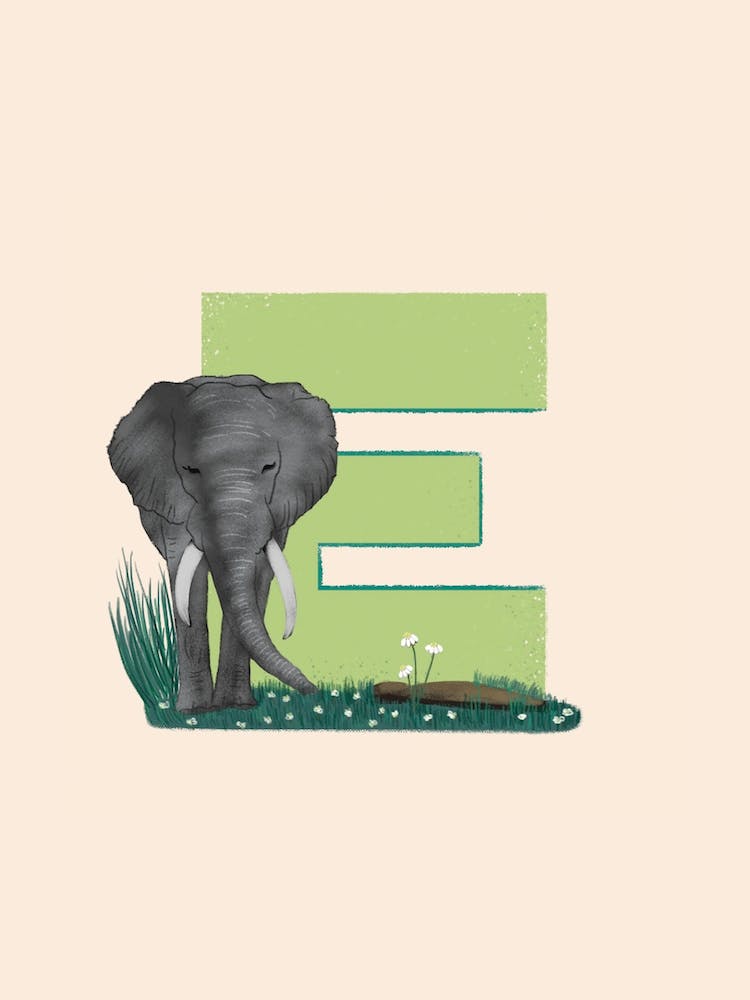 Letter E Elephant