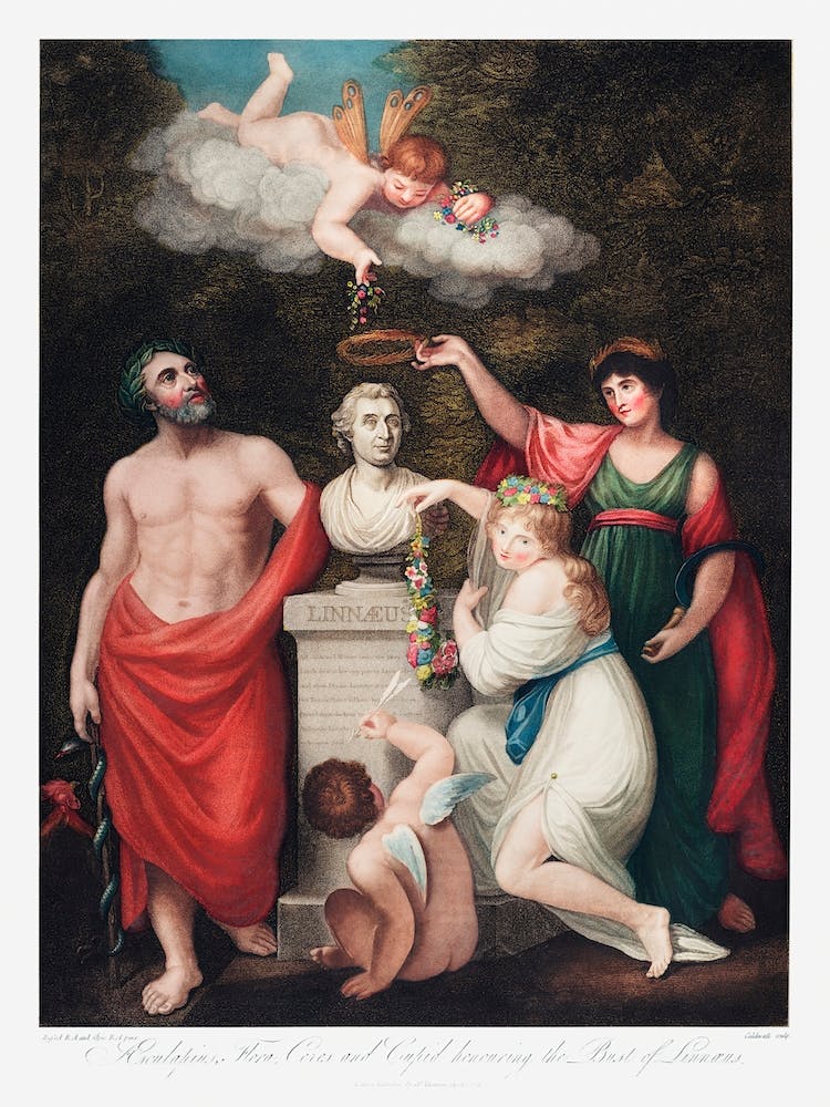 Flora, Aesculapius, Ceres, With Cupid, Honoring The Bust Of Linnaeus From The Temple Of Flora (1807), Robert John Thornton